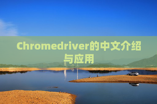 Chromedriver的中文介绍与应用